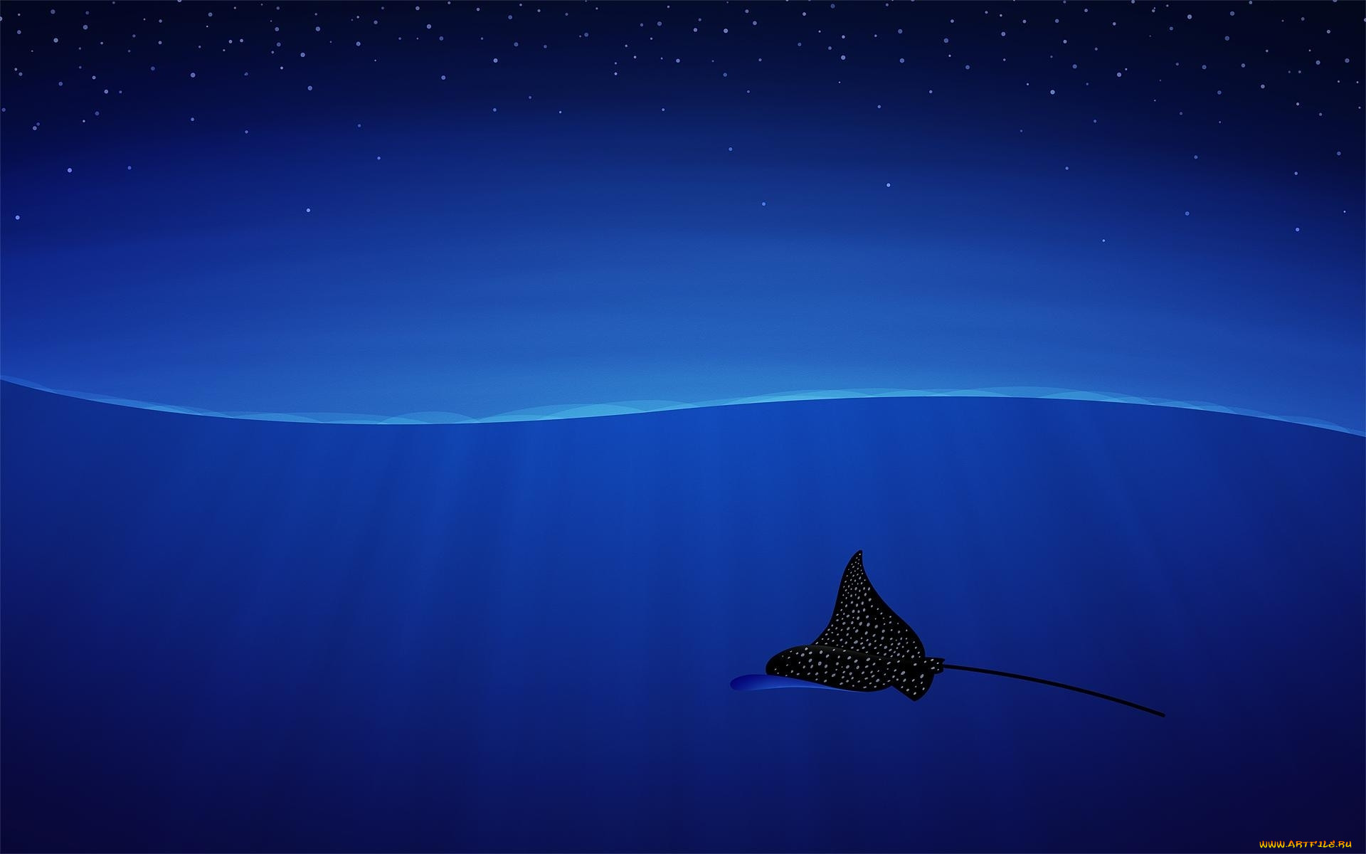 , -